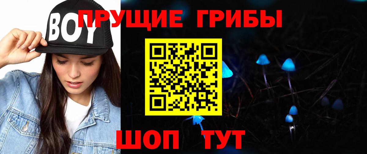 Псилоцибиновые грибы прущие грибы  Вход с VPN  Майкоп 